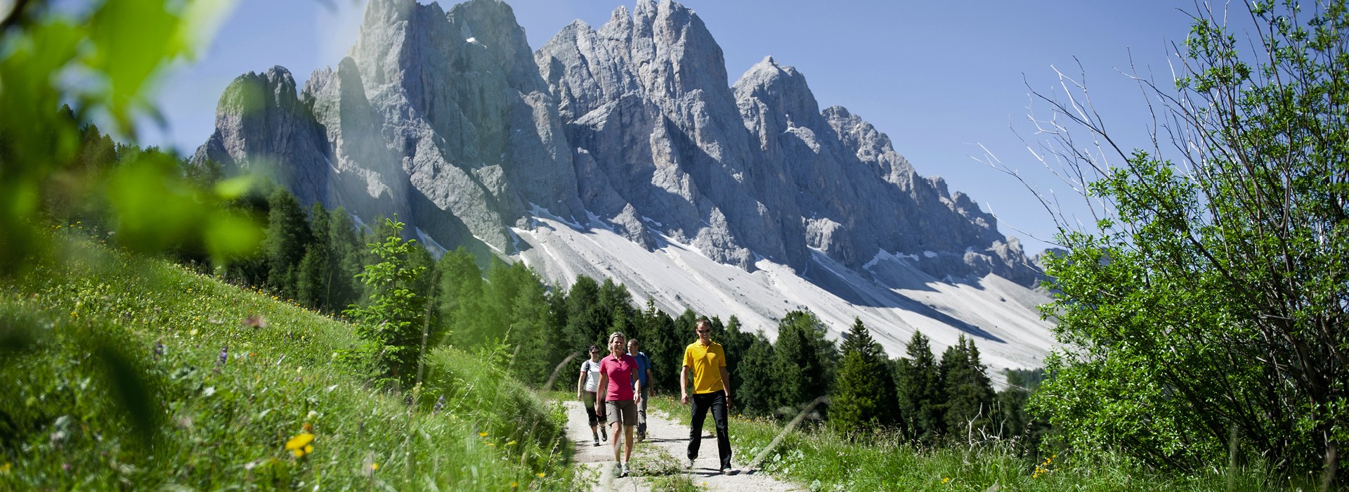 The picture shows a family walking through the green meadows on a path below the Dolomites.